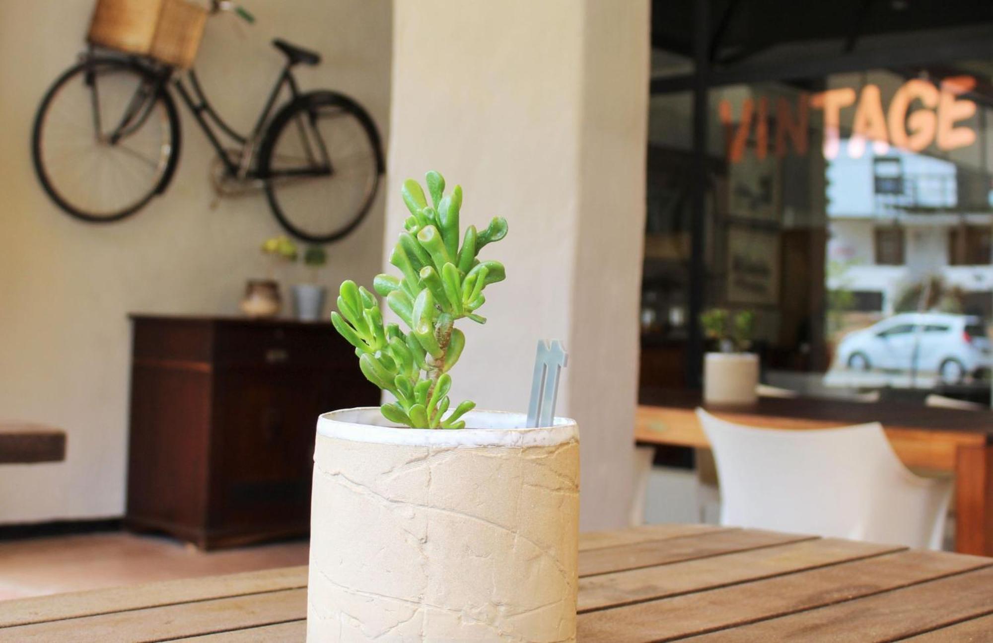 Barrydale Karoo - Boutique Hotel Eksteriør billede